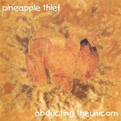 Abducting the Unicorn Cover