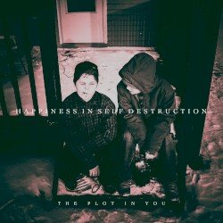 Happiness in Self Destruction Cover