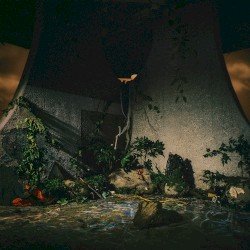 The Plot in You Cover
