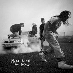 Pull Like a Dog Cover