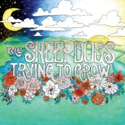 Trying to Grow Cover