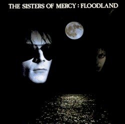 Floodland Cover
