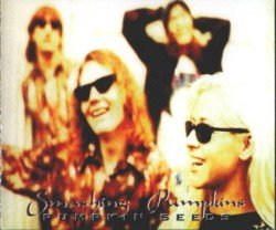 Pumpkin Seeds Cover