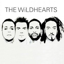 The Wildhearts Cover