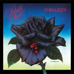 Black Rose: A Rock Legend Cover