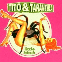 Little Bitch Cover