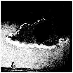 …To the Beat of a Dead Horse Cover