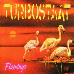 Flamingo Cover