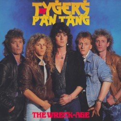 The Wreck-Age Cover
