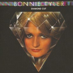 Diamond Cut Cover