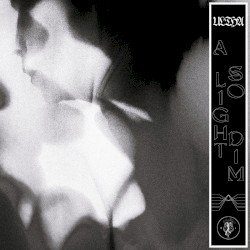 A Light So Dim Cover