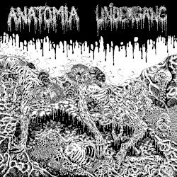 Anatomia / Undergang Cover