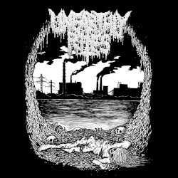 Ecdysis Cover