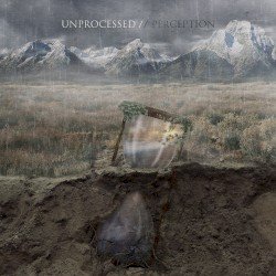 Perception Cover