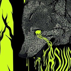 Ursular Cover