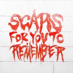 Scars for You to Remember Cover