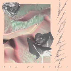 Bed of Roses Cover