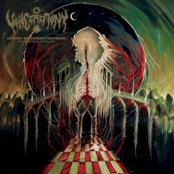Entropic Reflections Continuum: Dimensional Unravel Cover