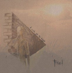 A Walk Into the Twilight Cover