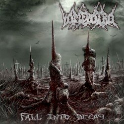 Fall Into Decay Cover