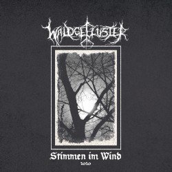 Stimmen im Wind 2020 Cover