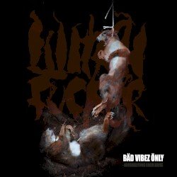 Bäd Vibez Önly: Aufarbeitung einer Krise Cover