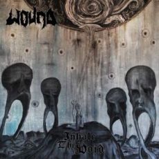 Inhale The Void Cover