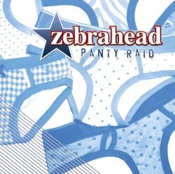 Panty Raid Cover