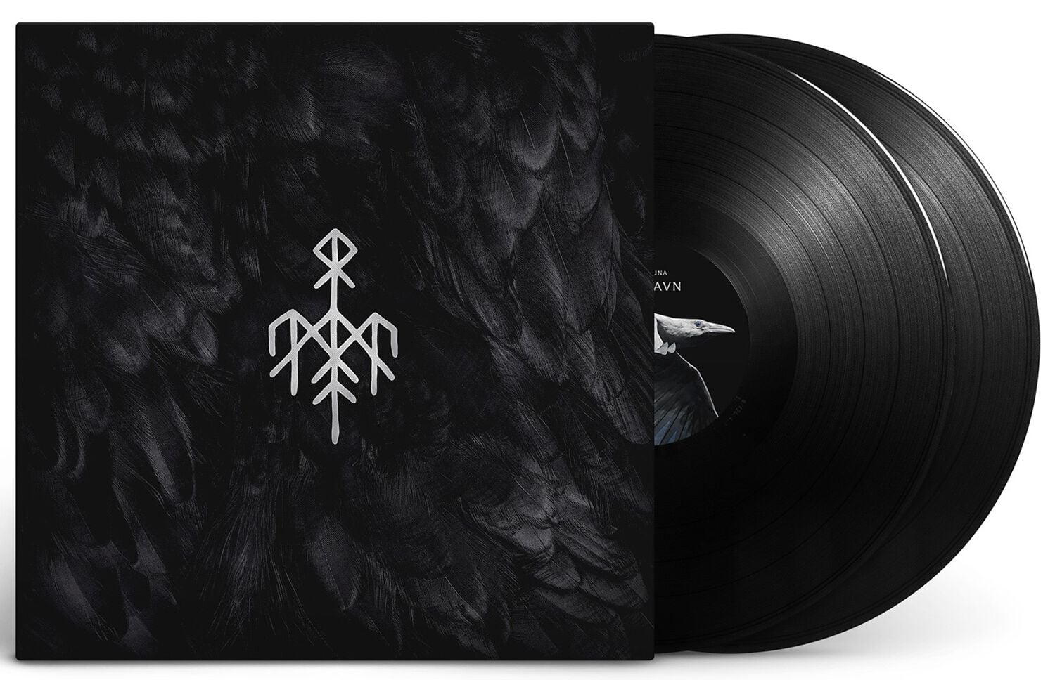 Cover: Kvitravn