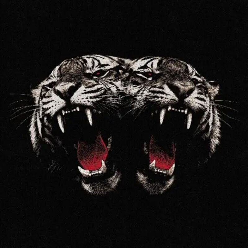 Cover: Dead Company