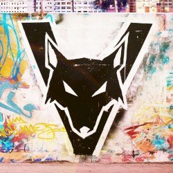Different Animals Cover