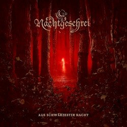 Aus schwärzester Nacht Cover