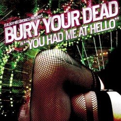 You Had Me at Hello Cover
