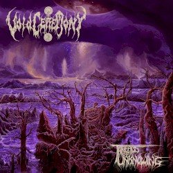 Voidceremony – Threads of Unknowing Cover