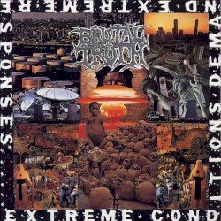 Extreme Conditions Demand Extreme Responses Cover