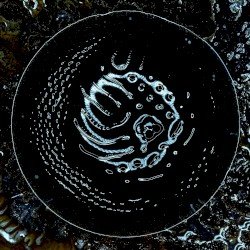 STONUS – Space to Dive Cover