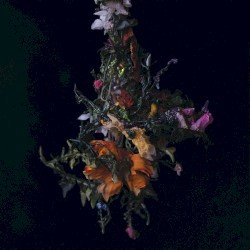 nature morte Cover