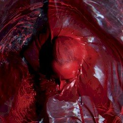 BLACKWATER HOLYLIGHT – Not Here Not Gone Cover