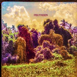 POLYMOON – Chrysalis Cover