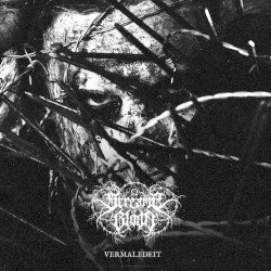 STREAMS OF BLOOD – Vermaledeit Cover