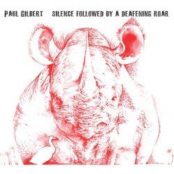 Silence Followed by a Deafening Roar Cover