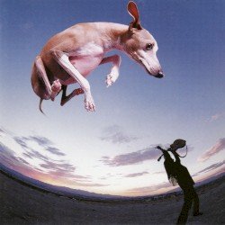 PAUL GILBERT – Flying Dog Cover