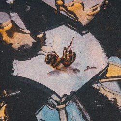 Stain The Canvas – Honey Rot Cover