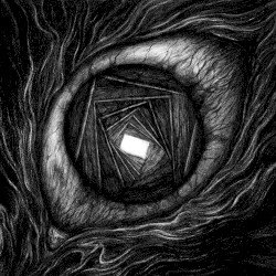 CARPE NOCTEM – Vitrun Cover