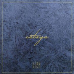 Firn Cover