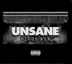 Blood Run Cover