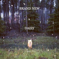 Daisy Cover