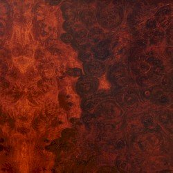TRUE WIDOW – Avvolgere Cover