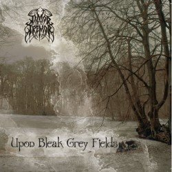 Upon Bleak Grey Fields Cover