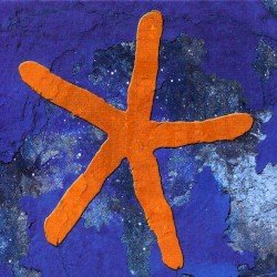 13th Star Cover